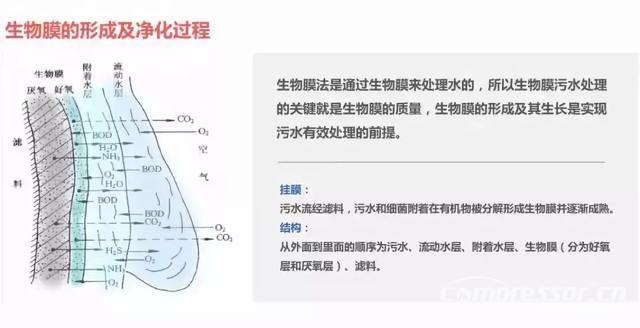 一文搞懂國內6大主流污水處理工藝！就知道空壓機的用途了