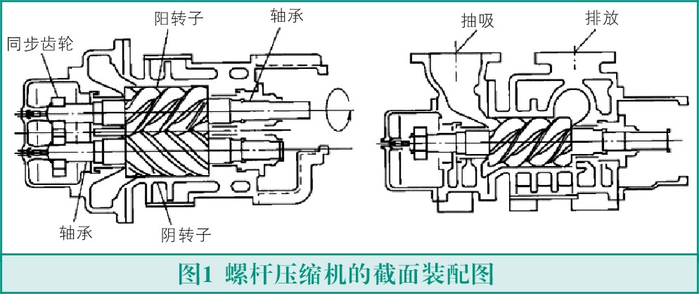 螺桿式壓縮機轉(zhuǎn)子故障與檢測